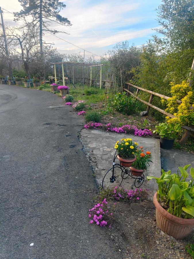 La Valle Fiorita Soviore Ngoại thất bức ảnh