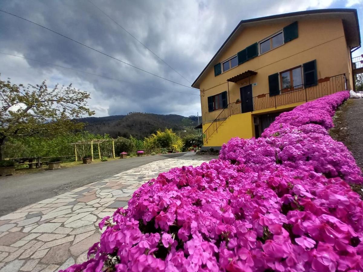 La Valle Fiorita Soviore Ngoại thất bức ảnh