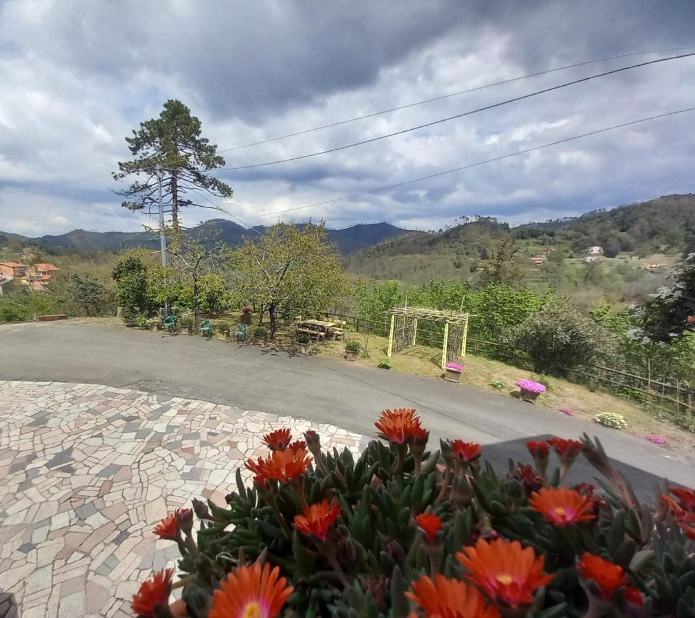 La Valle Fiorita Soviore Ngoại thất bức ảnh