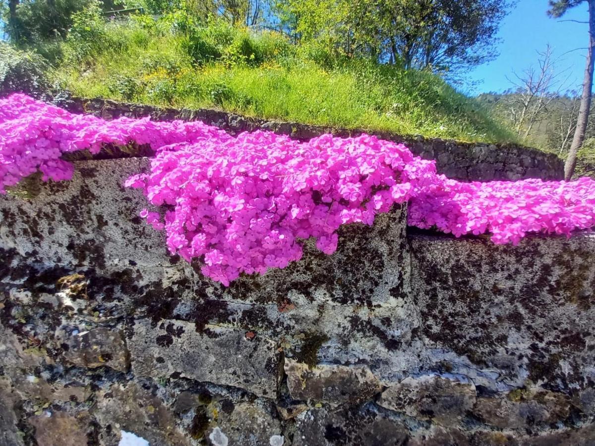 La Valle Fiorita Soviore Ngoại thất bức ảnh