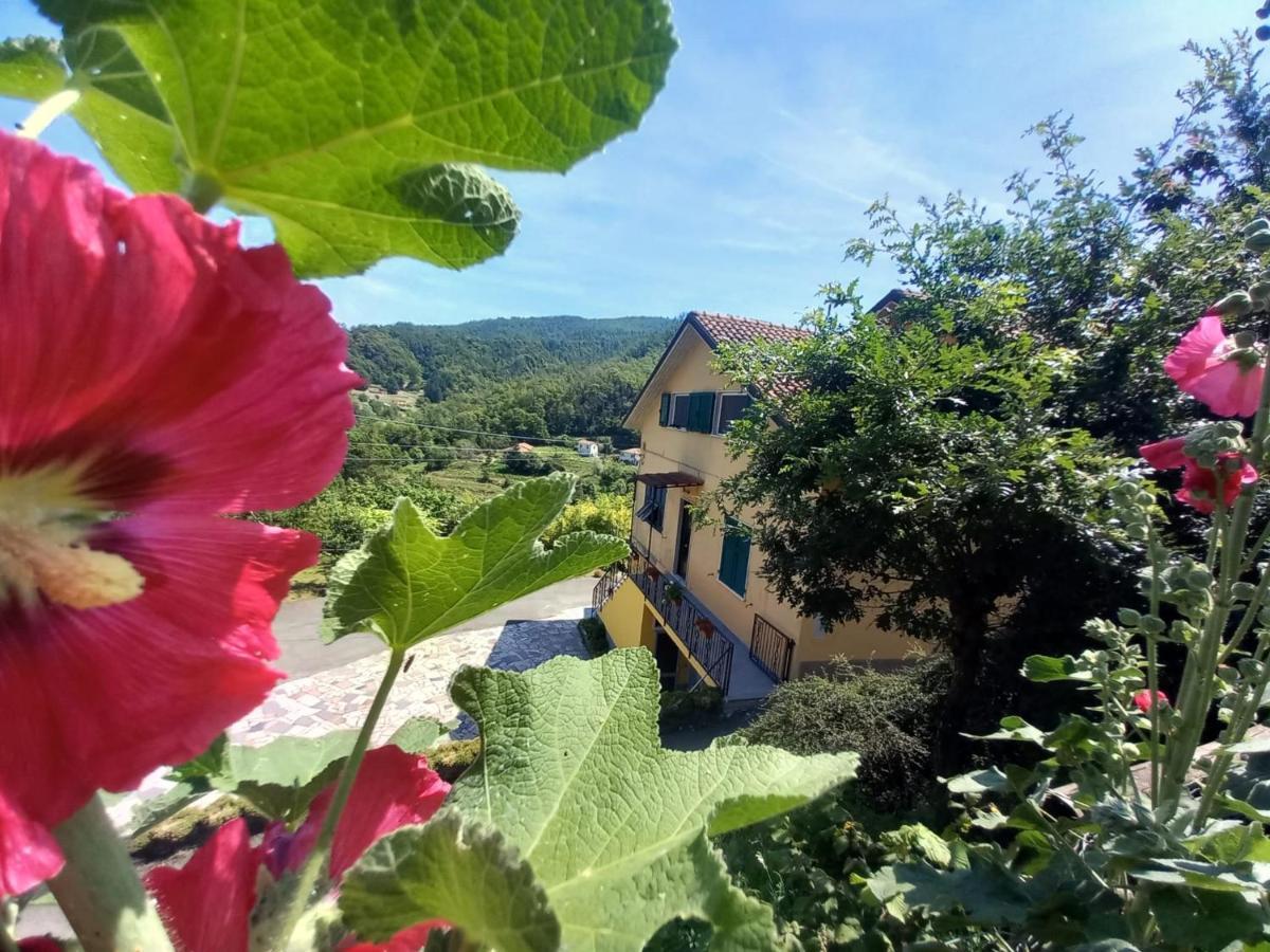 La Valle Fiorita Soviore Ngoại thất bức ảnh