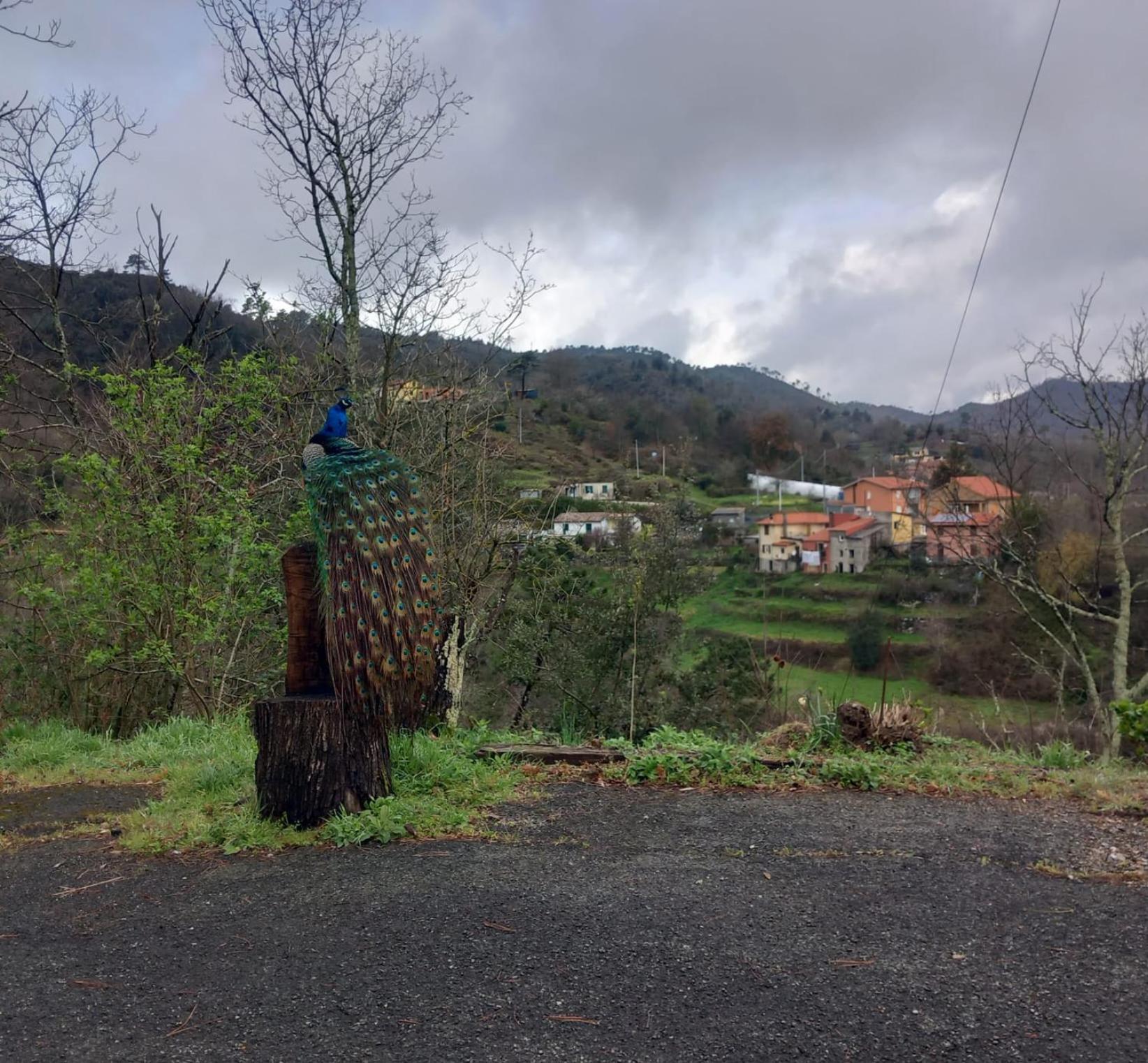 La Valle Fiorita Soviore Ngoại thất bức ảnh