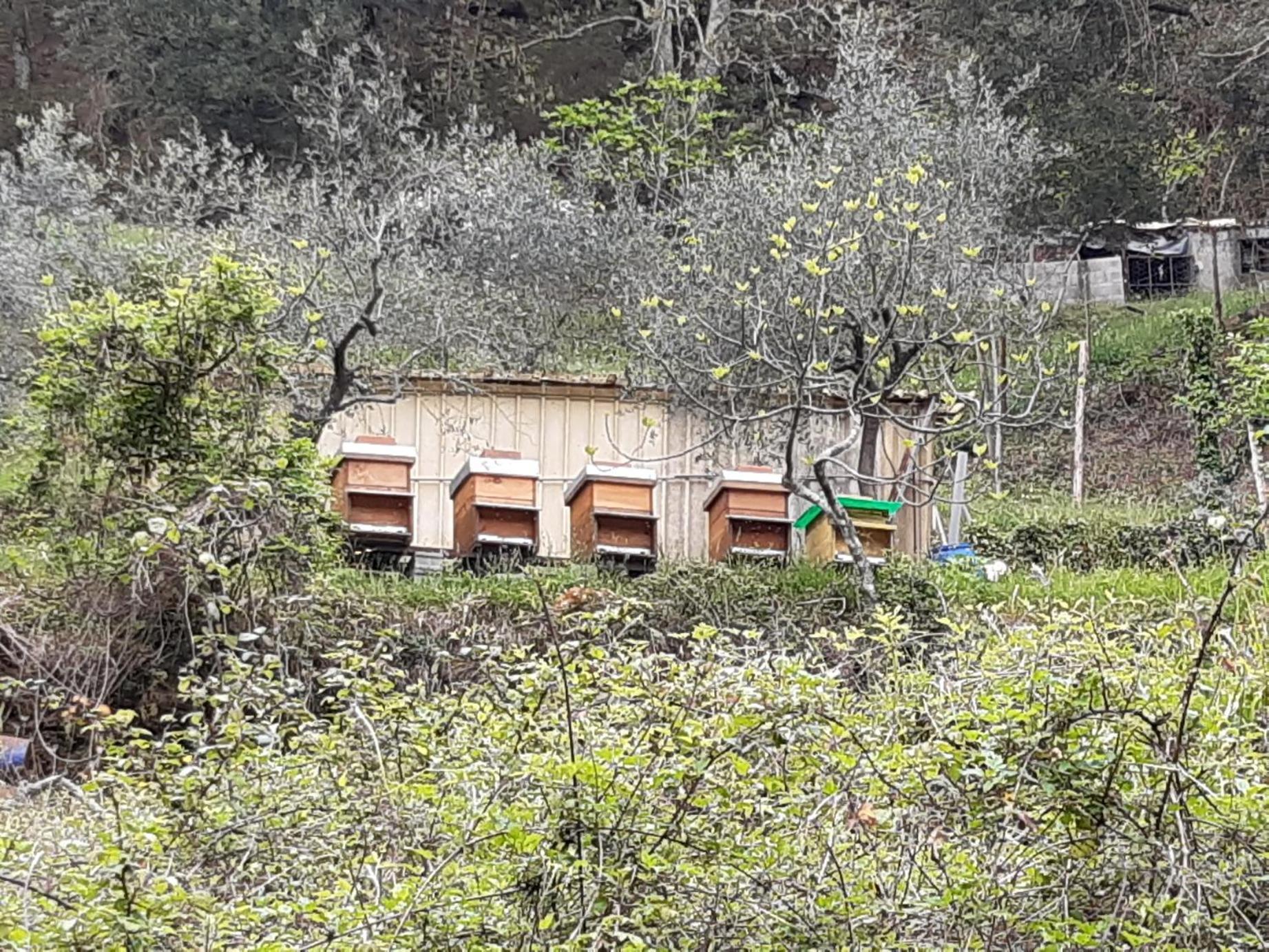 La Valle Fiorita Soviore Ngoại thất bức ảnh